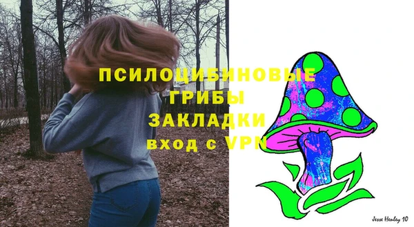 стаф Вязьма