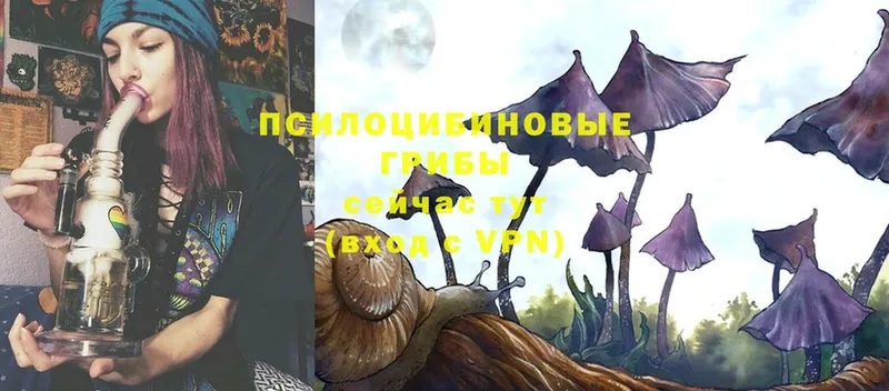 Галлюциногенные грибы MAGIC MUSHROOMS  купить закладку  Ковдор 